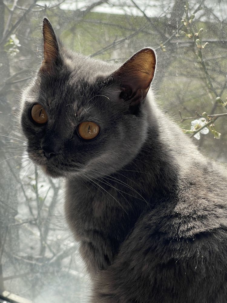 Photograph by Екатерина Парфёнова