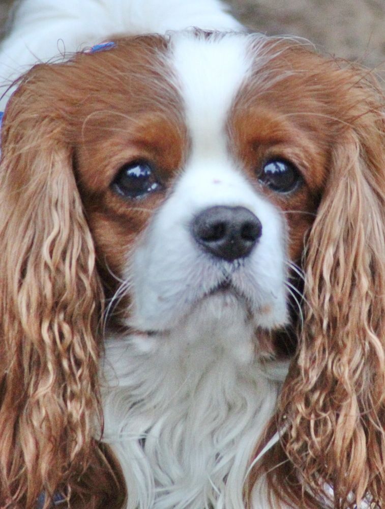 Photograph by Николай Николаевич Леухин