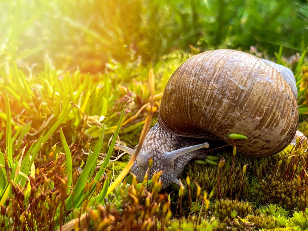 Photograph by Анна Зеленая