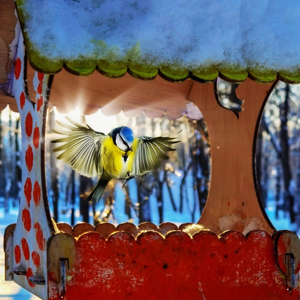 Мягкая посадка