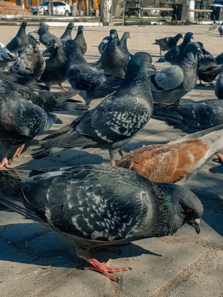 Photograph by Евгения Хоменко