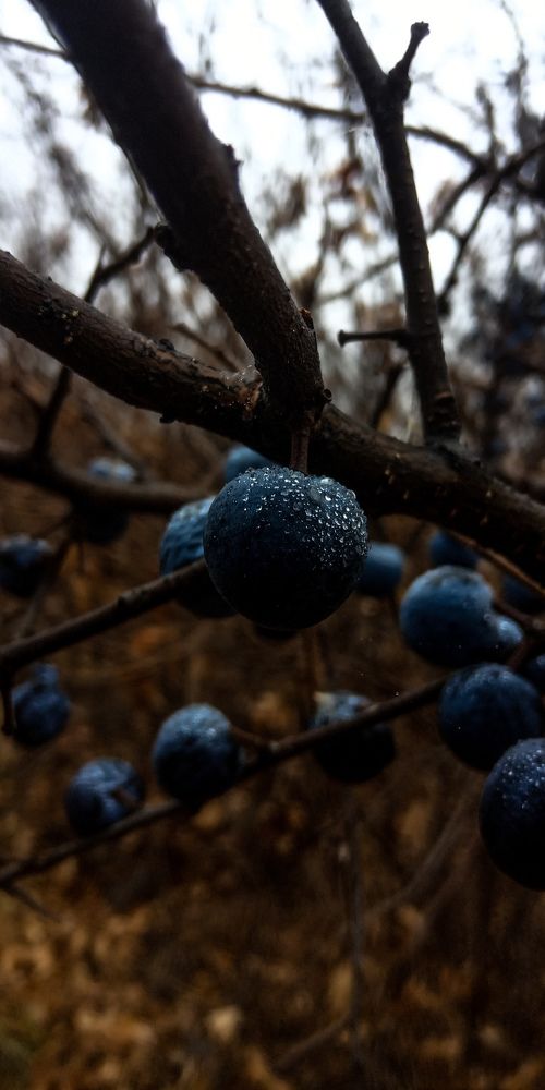 Photograph by Дарья Лазарева