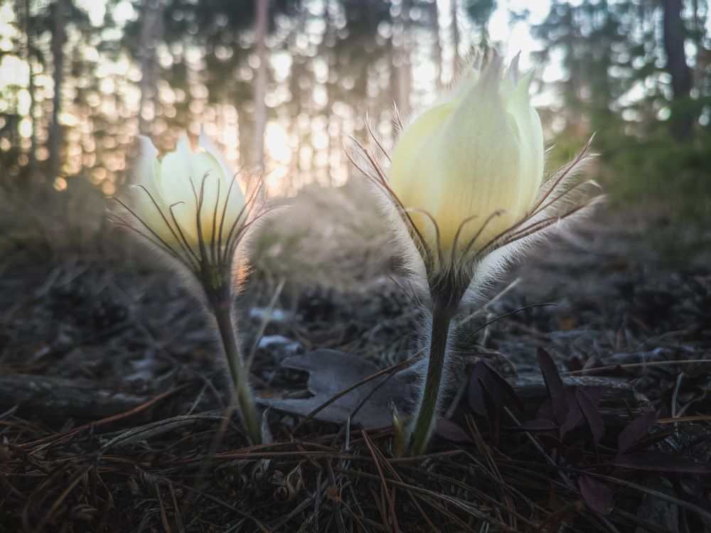 Photograph by Илья Толстоноженко