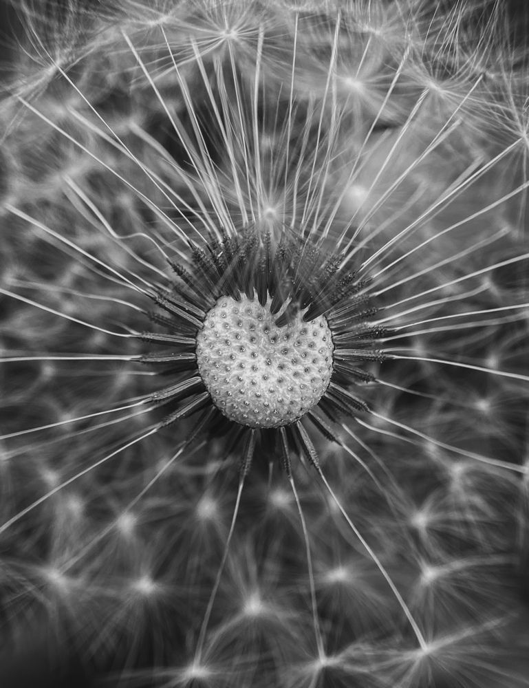 Photograph by Андрей Васильев