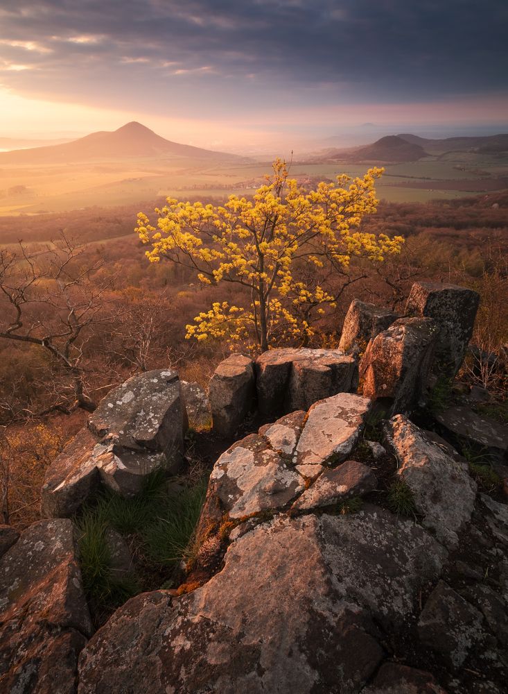 Photograph by Milan Chudoba