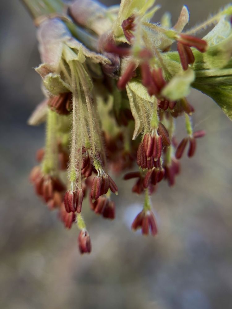 Photograph by Елена