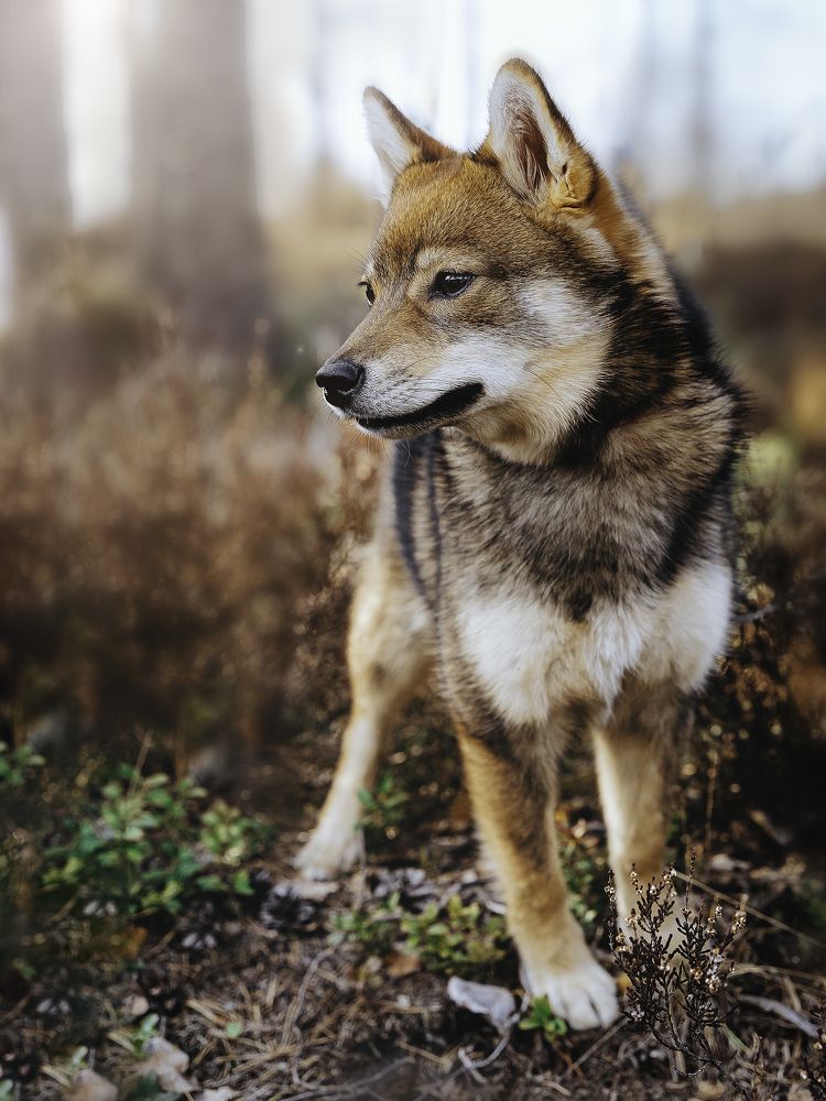 Photograph by Anna Sindikayeva