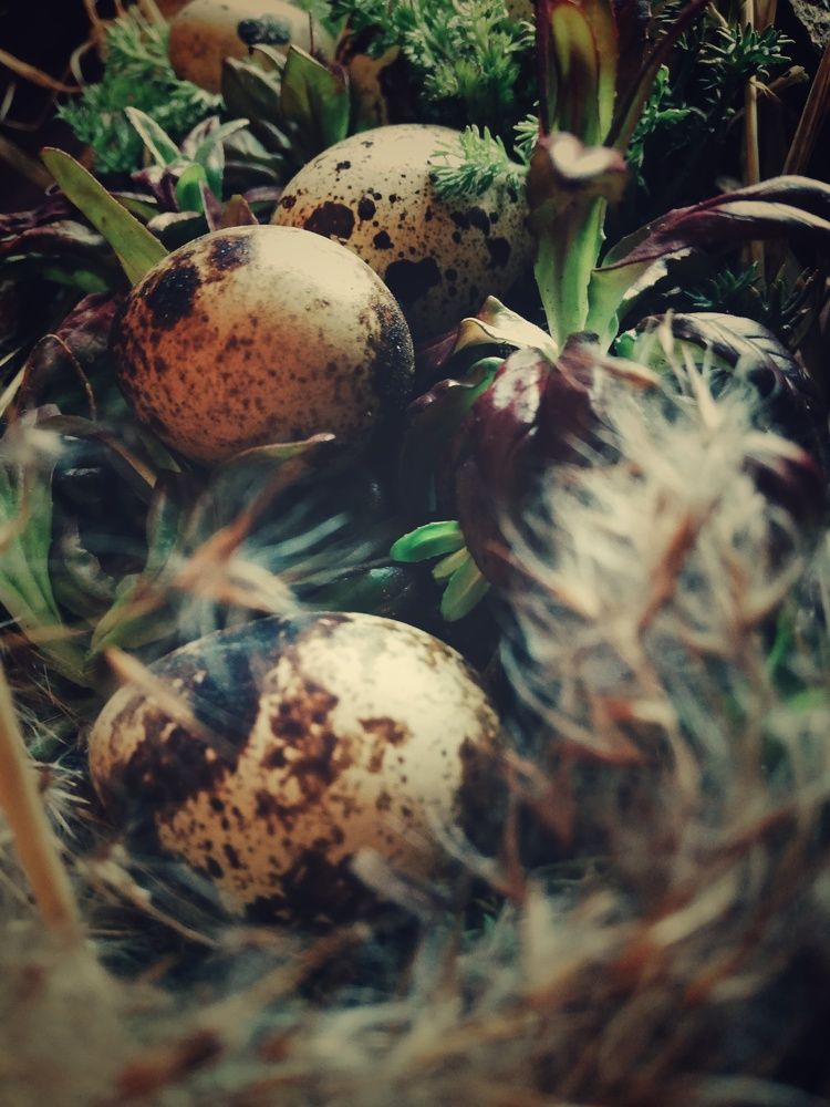 Photograph by Татьяна Смирнова