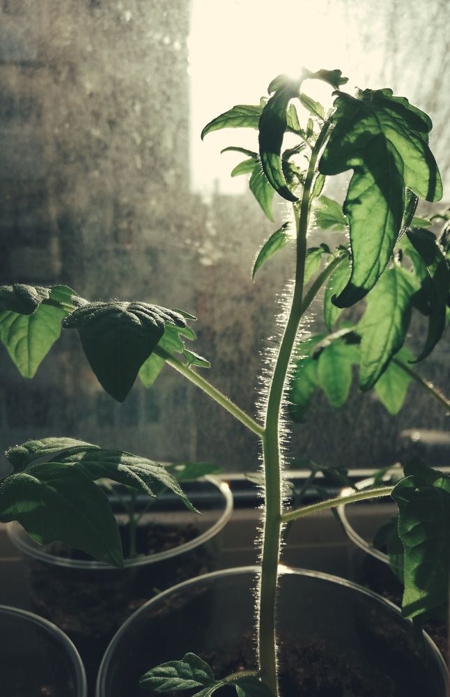 Photograph by Татьяна Смирнова