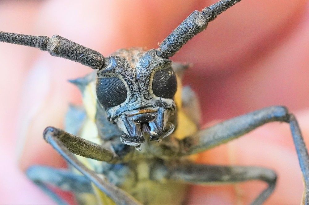 Photograph by Tamir Mor