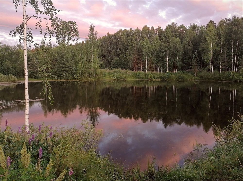 Photograph by Ольга