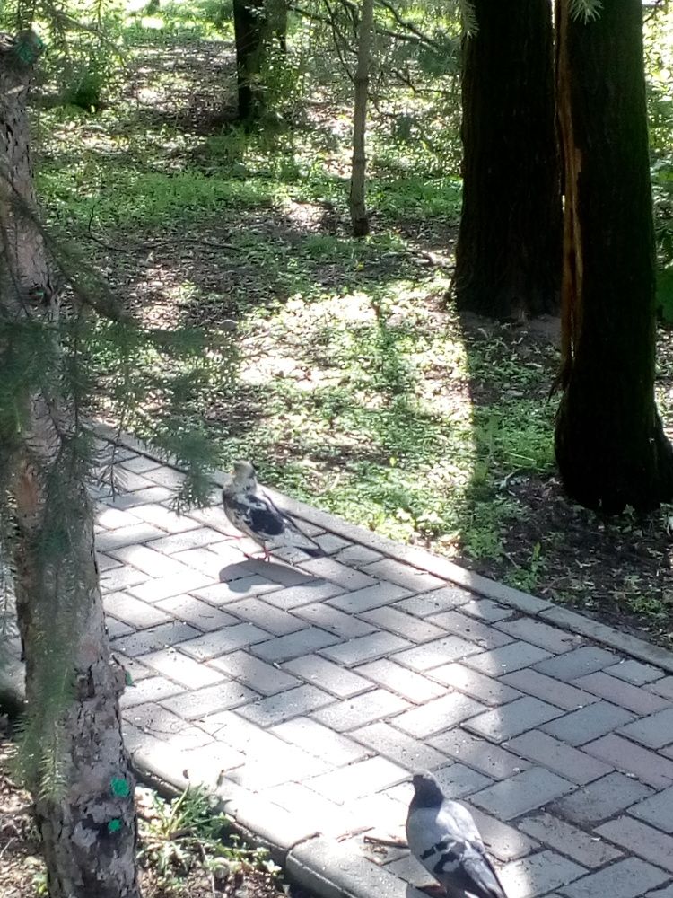 Photograph by Владислав Степанов