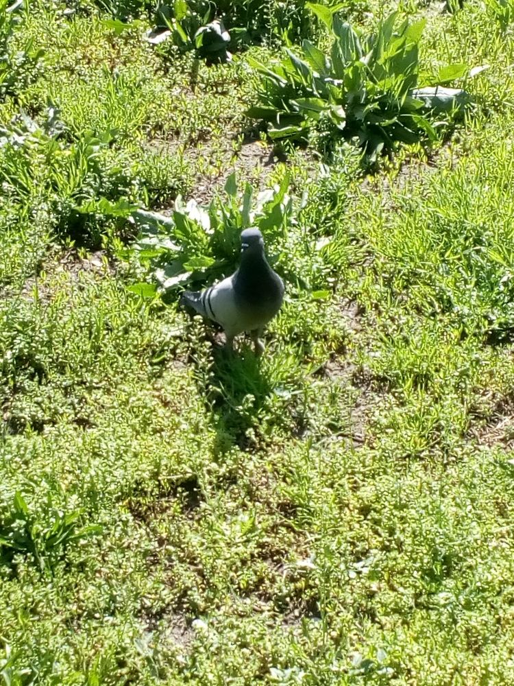 Photograph by Владислав Степанов