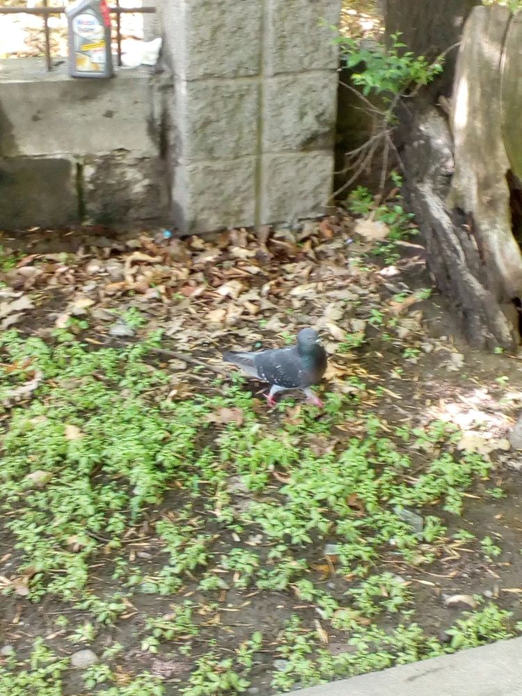 Photograph by Владислав Степанов