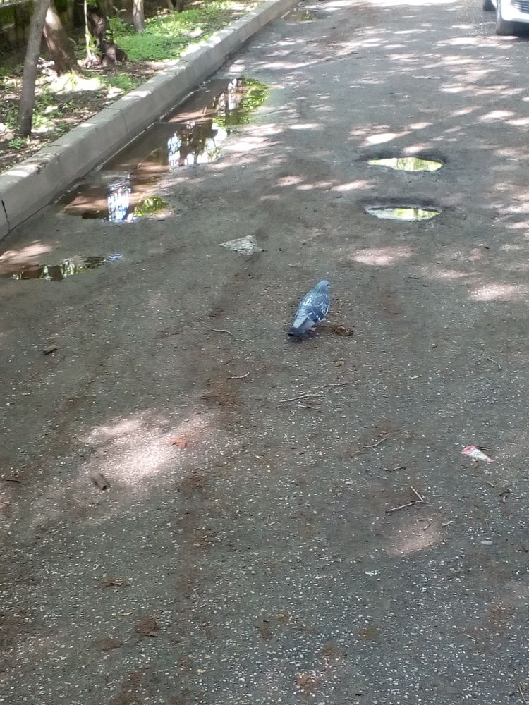 Photograph by Владислав Степанов