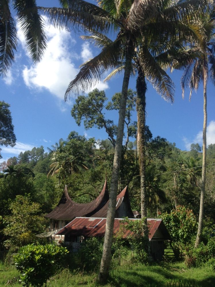 Photograph by M Afdal