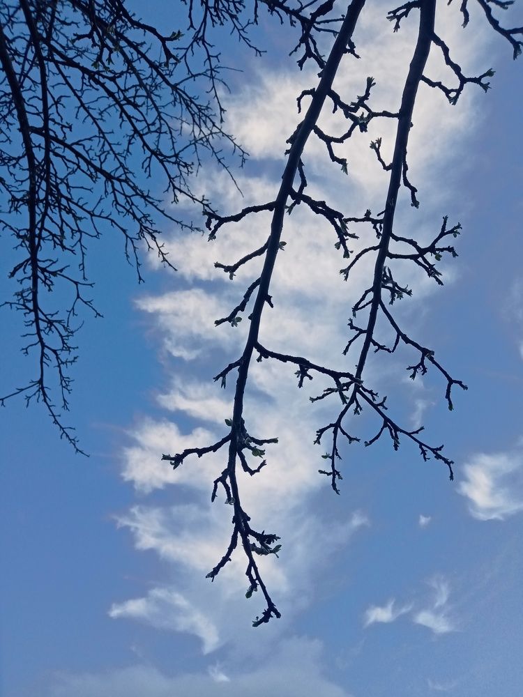 Photograph by Мария Опритова