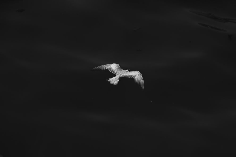 Photograph by Morteza Ghanbari