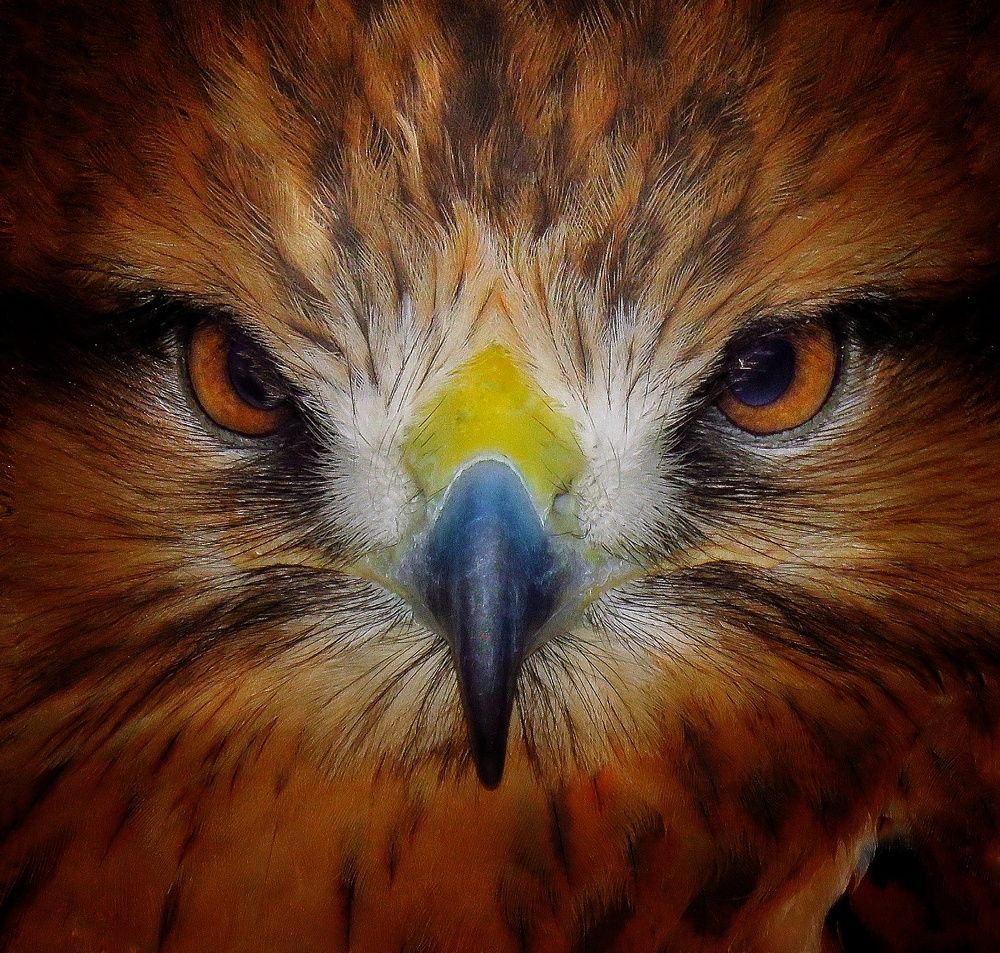 Photograph by Amin Ghaffarian