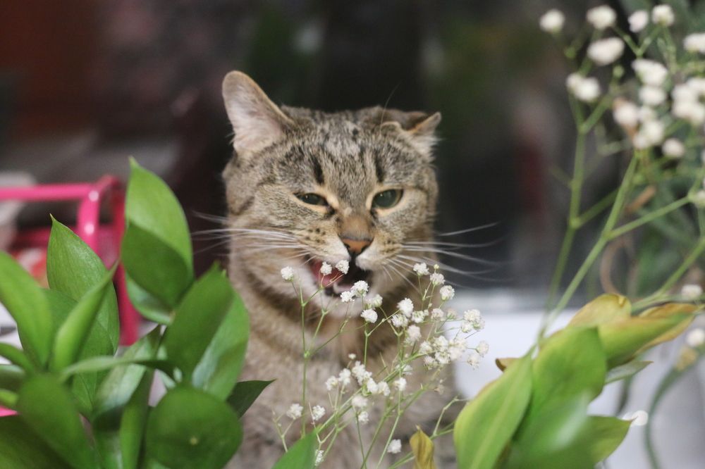 Photograph by Софья