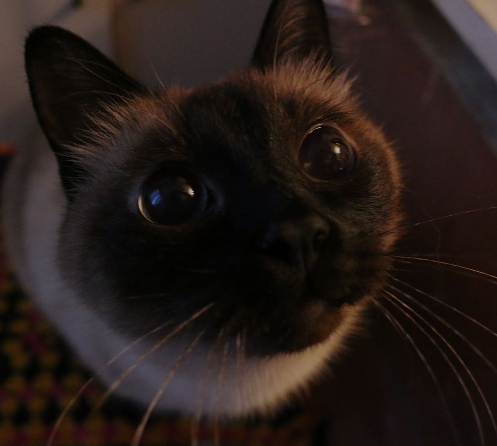 Photograph by Софья