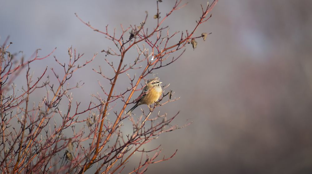 Photograph by Sajkovski Dejan