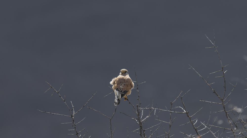 Photograph by Sajkovski Dejan