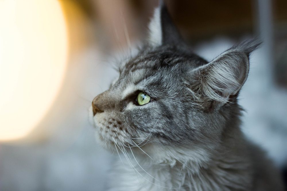 Photograph by Елена Макаренко