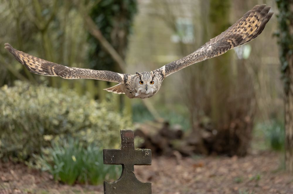 Фотография автора MARIA KULA