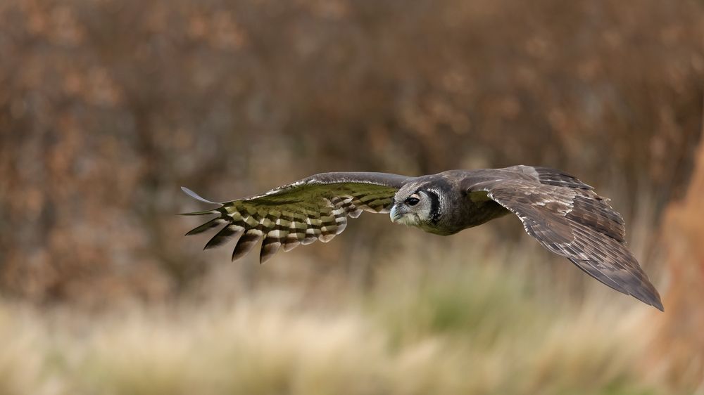 Фотография автора MARIA KULA