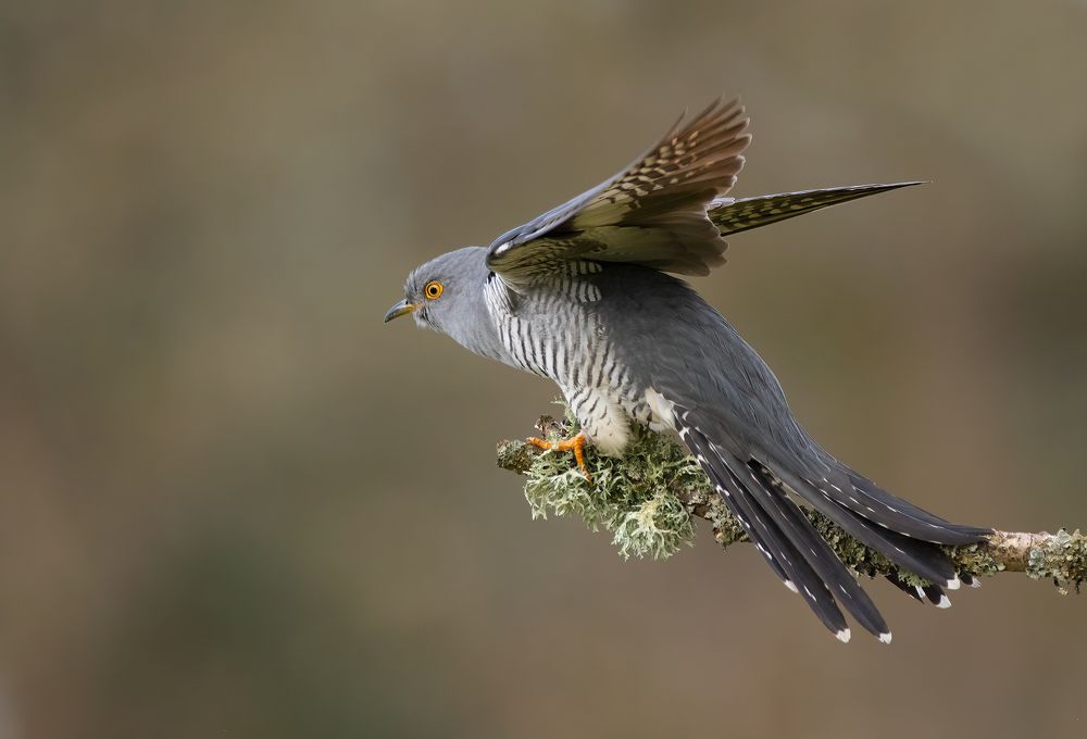 Photograph by MARIA KULA