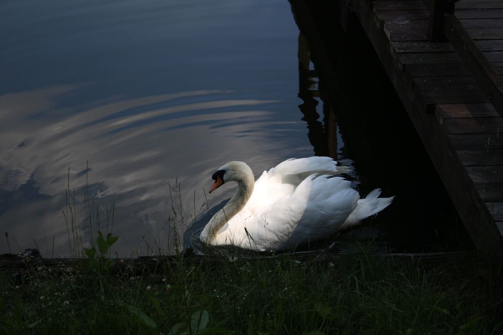 Фотография автора Никита Гутор