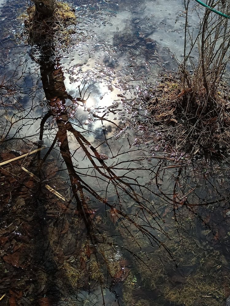 Photograph by Марина Рукавичко