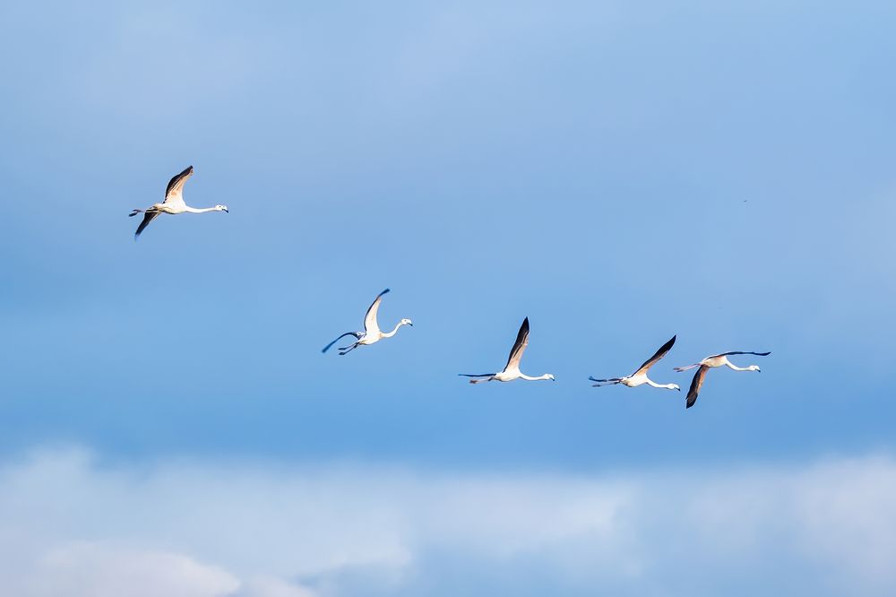 Photograph by Katerina