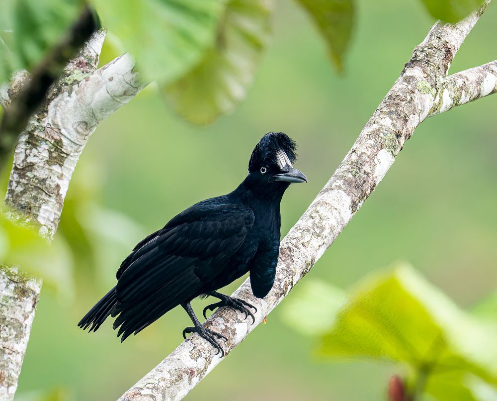 Photograph by Dustin Chen