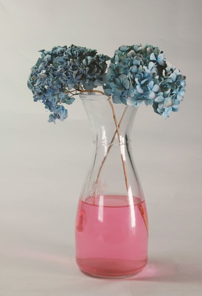 Photograph by Витольда Осина