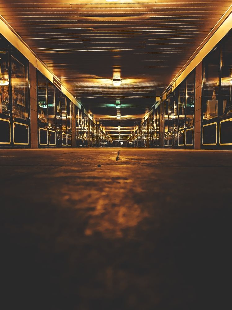 Photograph by Александра Коржева