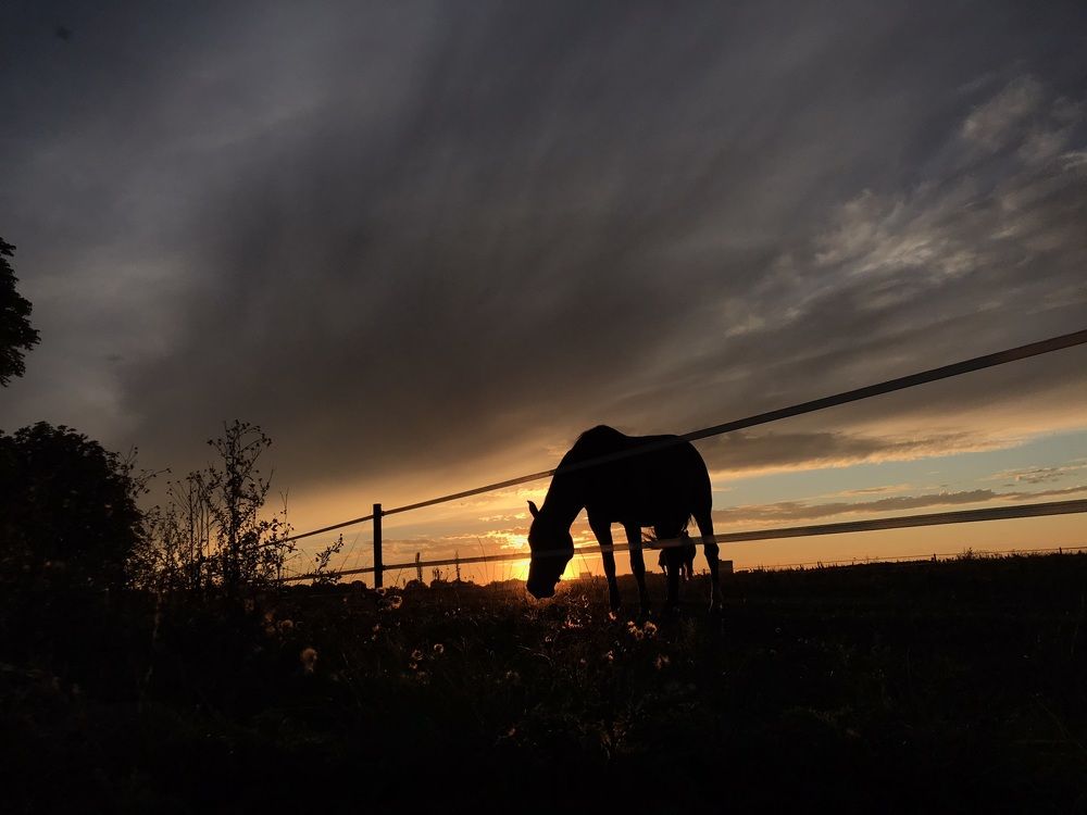 Photograph by Юлия З