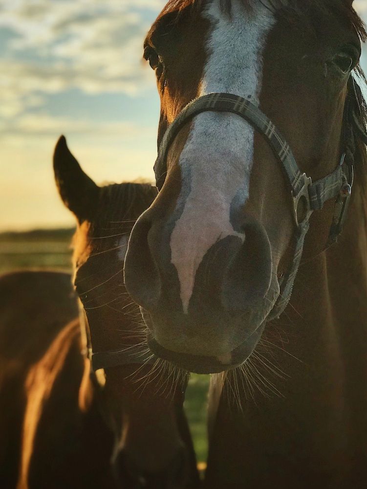 Photograph by Юлия З