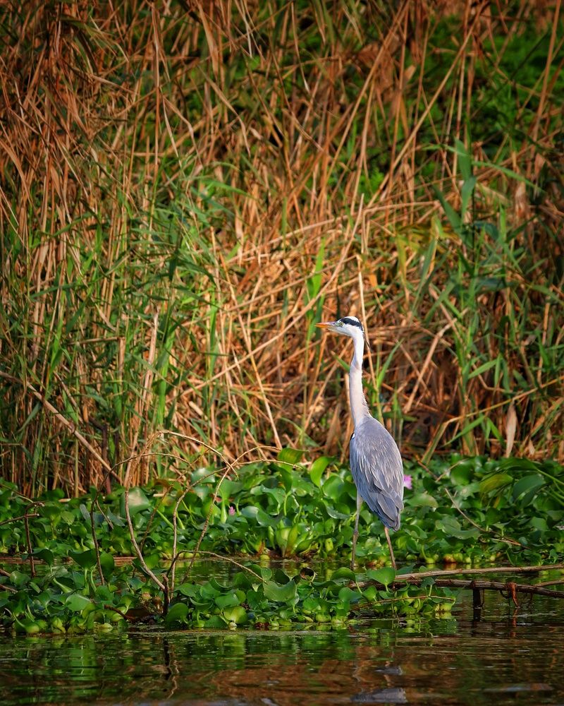 Photograph by Keyvan Hosine pour