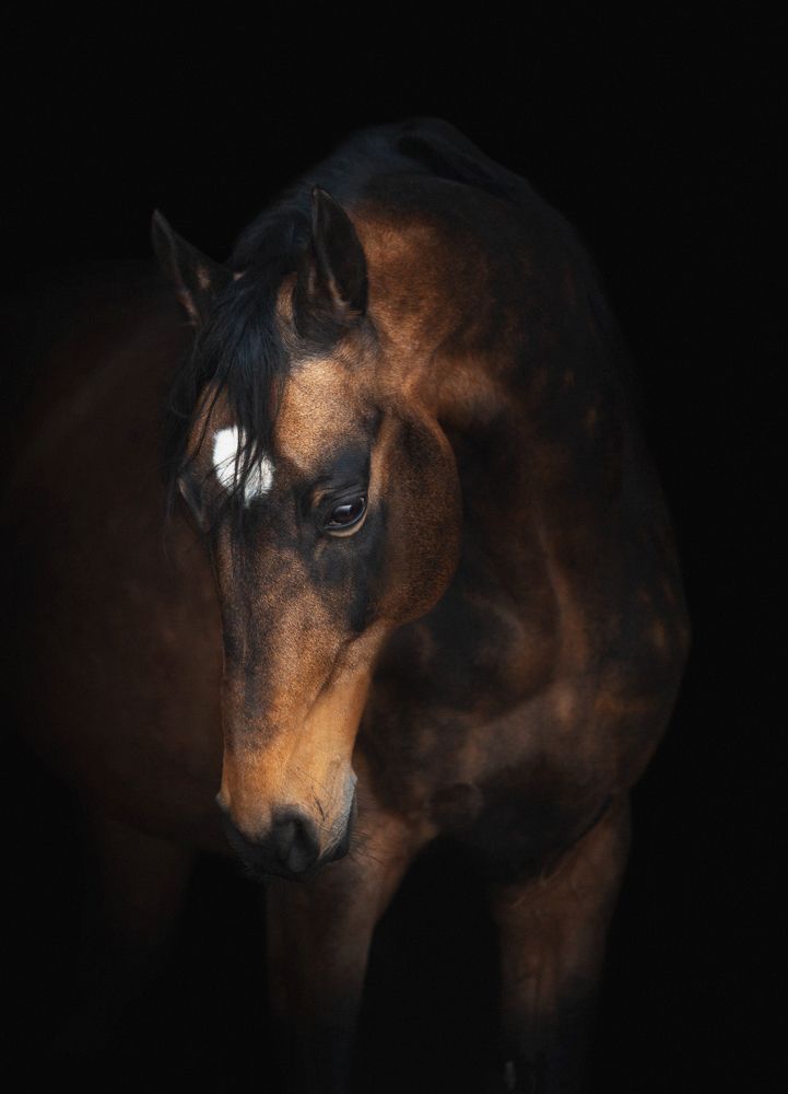 Photograph by Василиса Штапакова