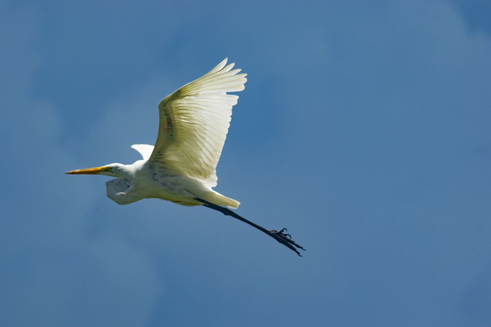 Фотография автора Yako Laverde