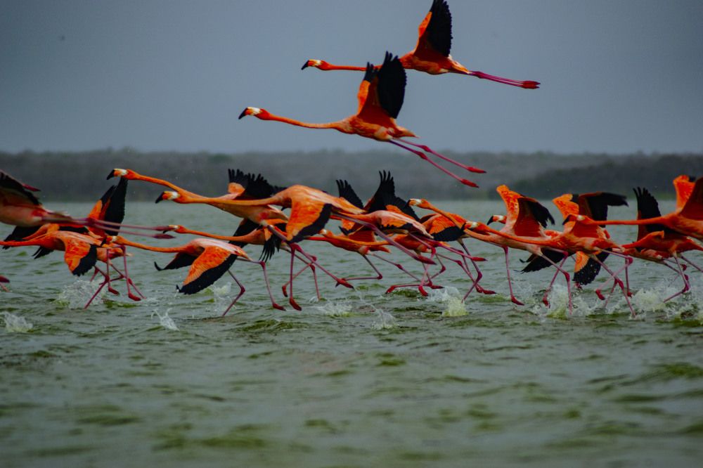 Фотография автора Yako Laverde