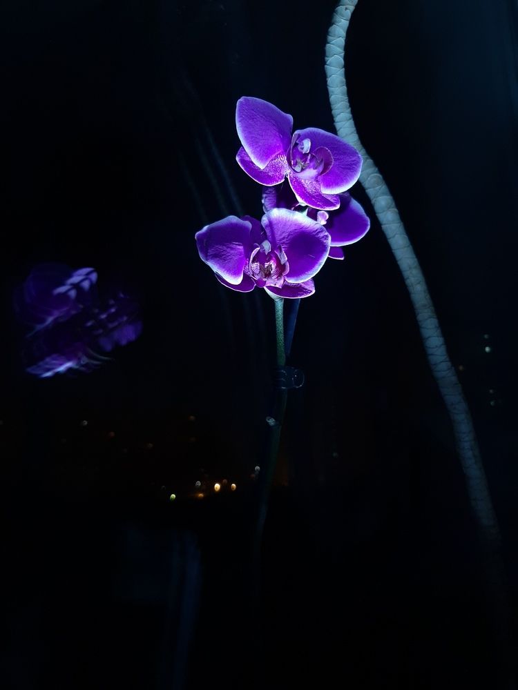 Photograph by Елена Ельчанинова