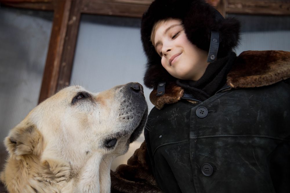 Photograph by Прокопенко София