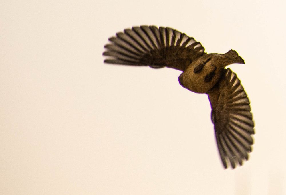 Photograph by islam elsayed eldaramlly