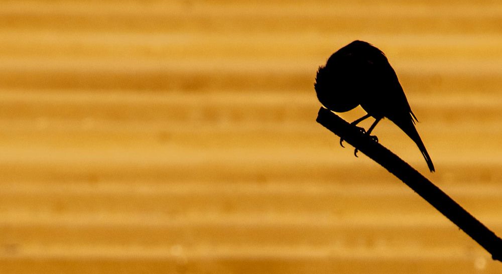 Photograph by islam elsayed eldaramlly