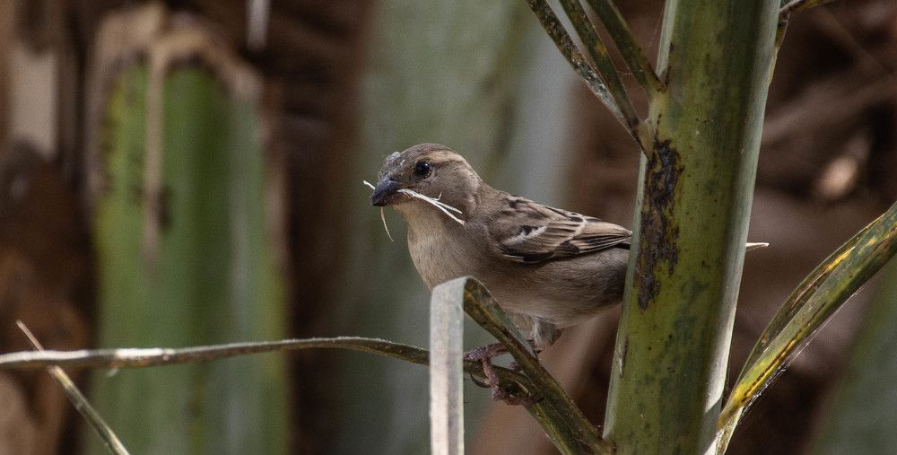 Photograph by islam elsayed eldaramlly