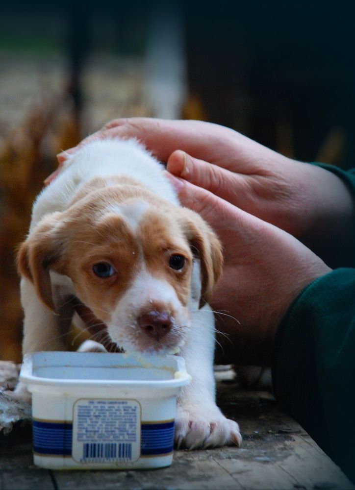 Photograph by Jasminka Nadaškić