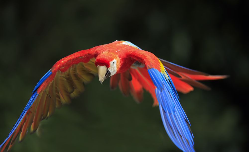 Photograph by johan koch